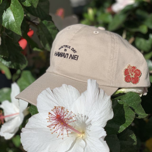 Hawaii Domestic Market